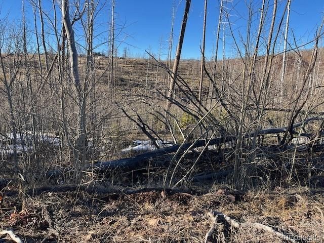 1502 Vonheyl Ln, Fort Garland, CO 81133