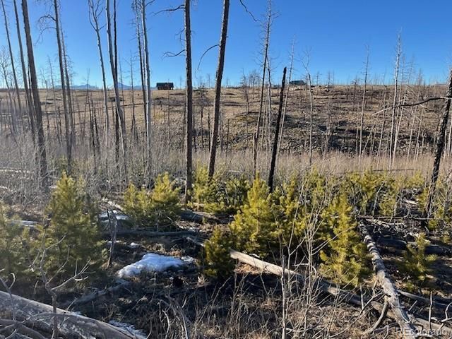 1502 Vonheyl Ln, Fort Garland, CO 81133