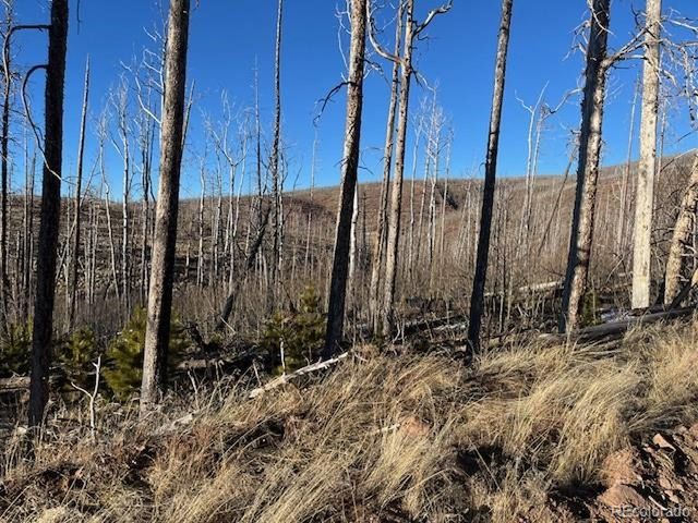 1502 Vonheyl Ln, Fort Garland, CO 81133