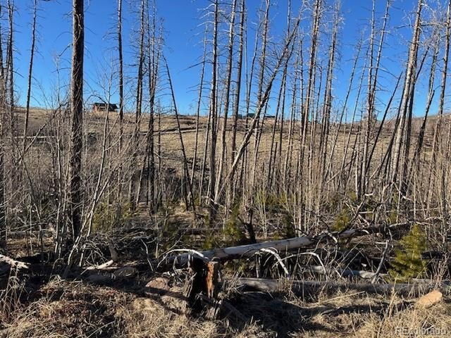 1502 Vonheyl Ln, Fort Garland, CO 81133