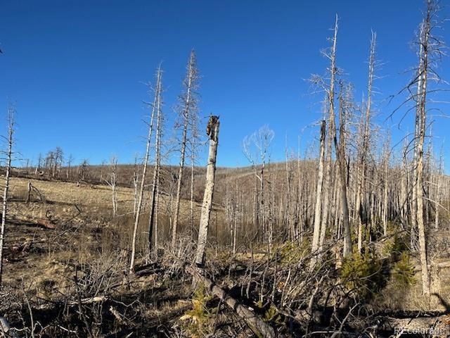 1502 Vonheyl Ln, Fort Garland, CO 81133