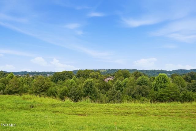 905 O'Hara Court, Blountville, TN 37617