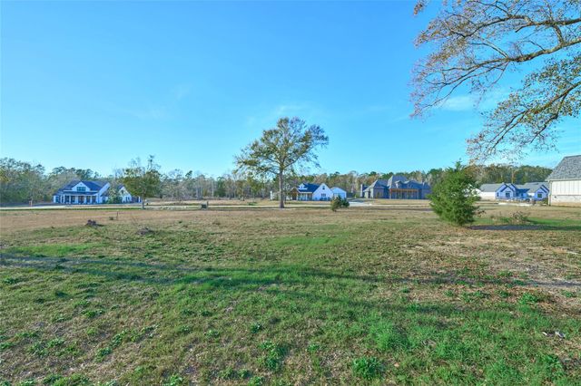 91 Quiet Springs Trail, Willis, TX 77378