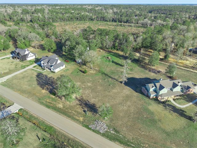 91 Quiet Springs Trail, Willis, TX 77378