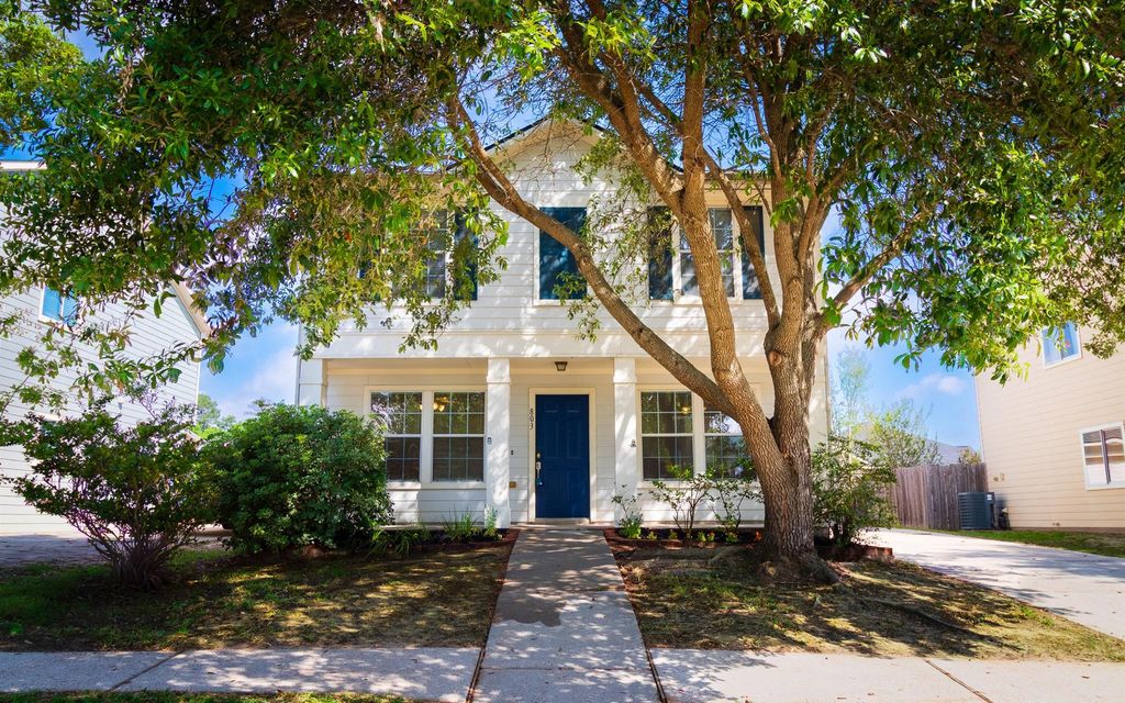 803 Dragonfly Drive, Conroe, TX 77301