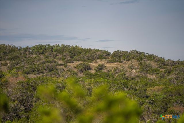 TBD Bell Springs Road, Dripping Springs, TX 78620