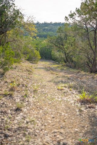 TBD Bell Springs Road, Dripping Springs, TX 78620