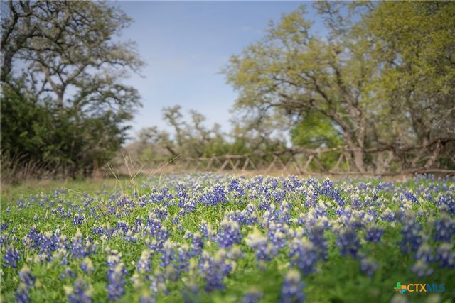 TBD Bell Springs Road, Dripping Springs, TX 78620