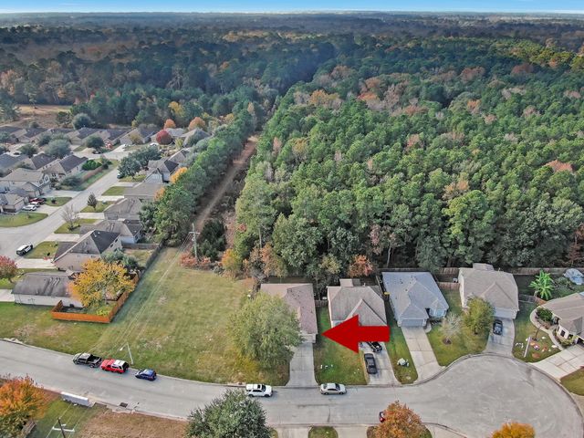 208 Summer Pine Court, Conroe, TX 77304