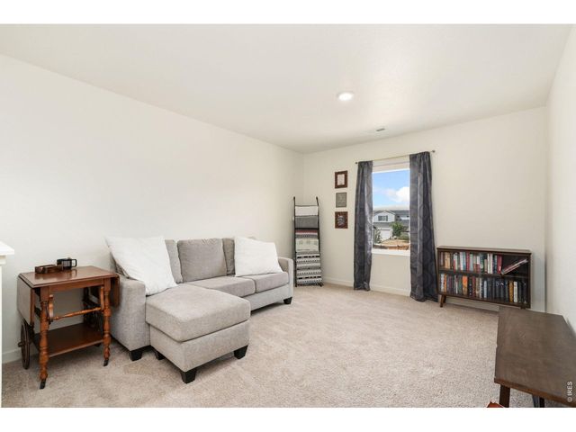 3758 Catmint St, Wellington, CO 80549