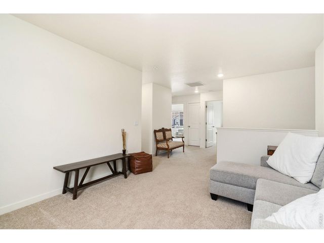 3758 Catmint St, Wellington, CO 80549