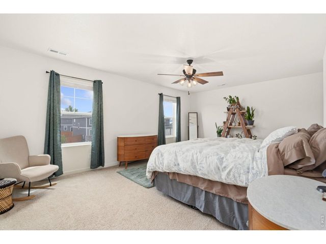 3758 Catmint St, Wellington, CO 80549