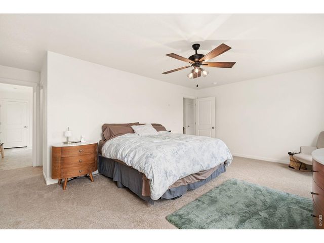3758 Catmint St, Wellington, CO 80549