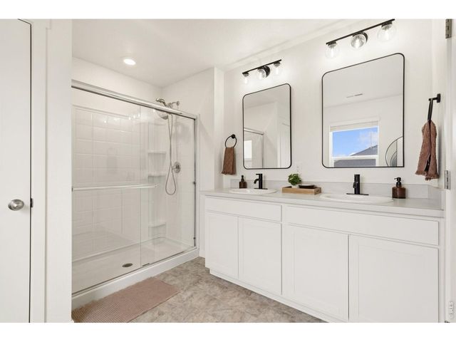3758 Catmint St, Wellington, CO 80549