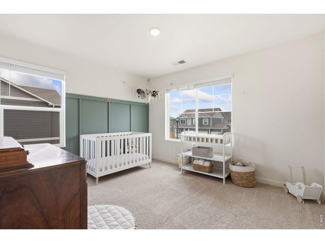 3758 Catmint St, Wellington, CO 80549