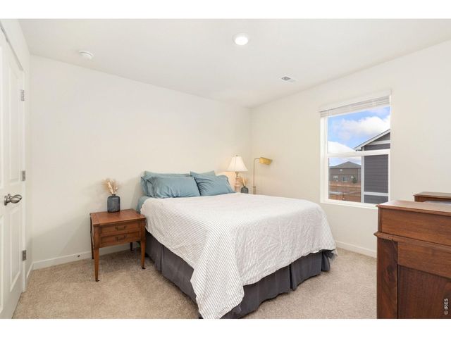 3758 Catmint St, Wellington, CO 80549