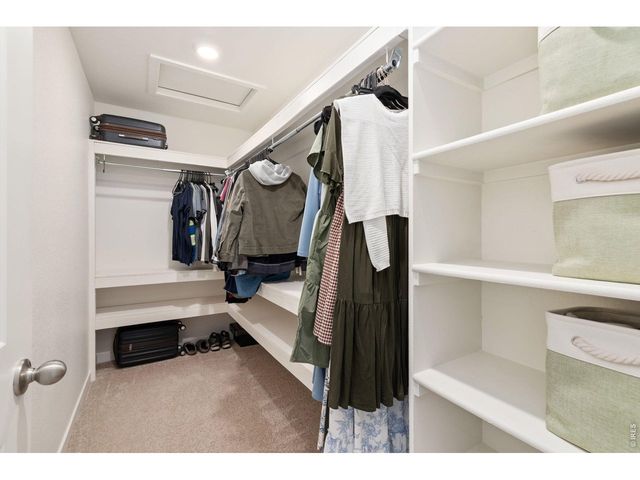3758 Catmint St, Wellington, CO 80549
