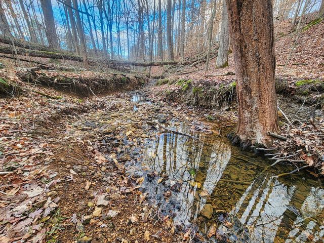 932 Hayes Rd, Lawrenceburg, TN 38464