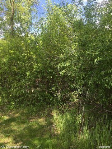 0000 HIghland Park Drive, Highland Charter Township, MI 48356