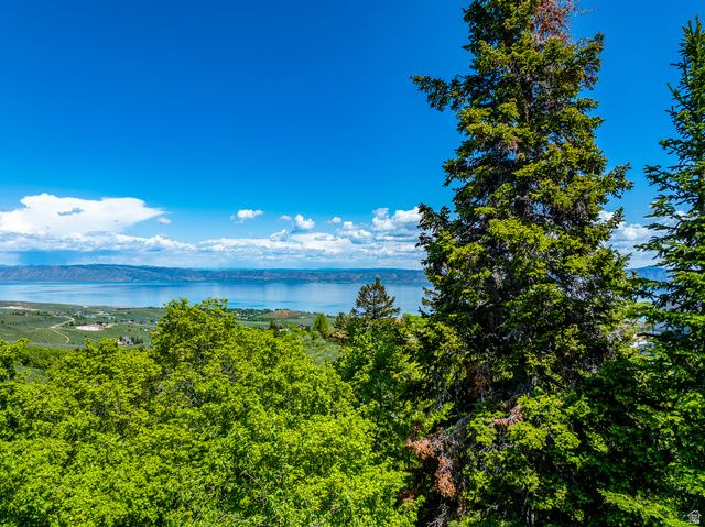 374 COLD SPRINGS DR, Fish Haven, ID 83287