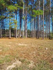 379 Azalea Dr, Hardeeville, SC 29927