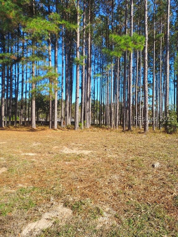 379 Azalea Dr, Hardeeville, SC 29927