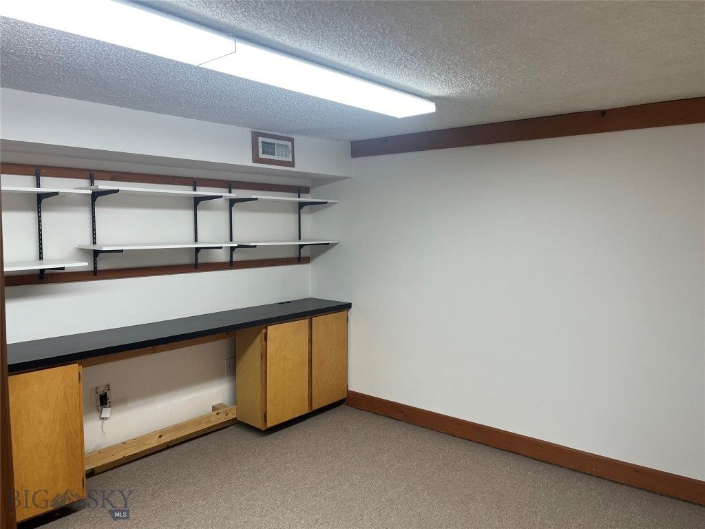 24 S Willson Avenue 04, Bozeman, MT 59715 photo 6