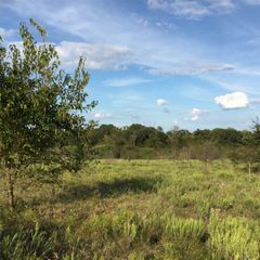 1821 State Highway 309, Kerens, TX 75144