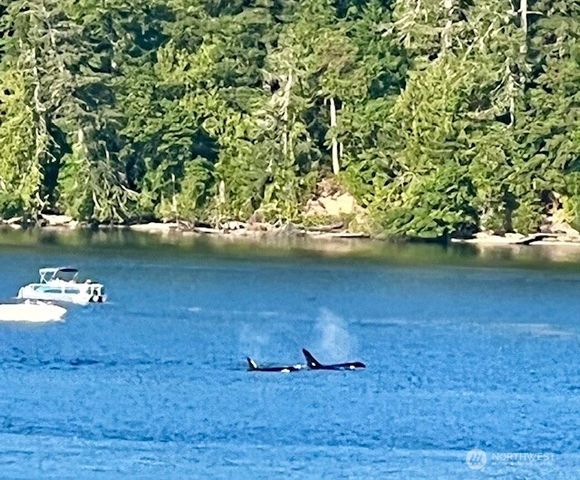 91 E Franjo Beach Drive, Shelton, WA 98584