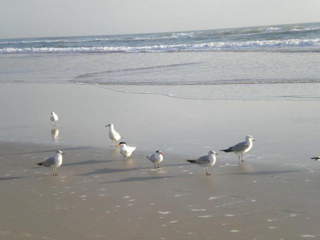 2815 BAY SIDE DRIVE, New Smyrna Beach, FL 32168