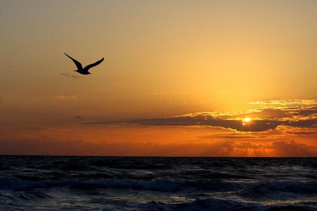 2815 BAY SIDE DRIVE, New Smyrna Beach, FL 32168