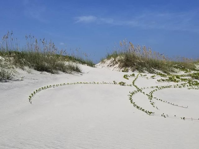 2815 BAY SIDE DRIVE, New Smyrna Beach, FL 32168