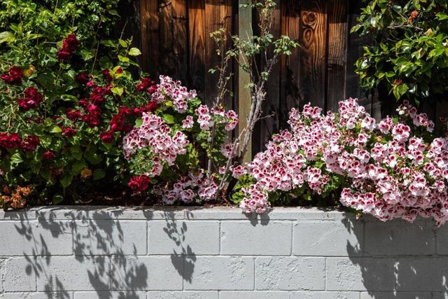 1802 Alameda De Las Pulgas, Redwood City, CA 94061