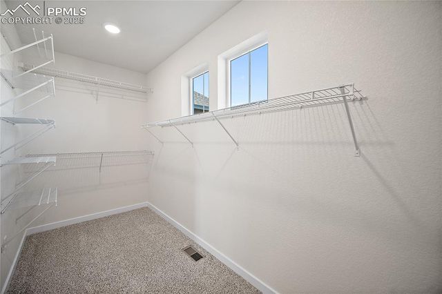 11991 Lake Trout Drive, Colorado Springs, CO 80925