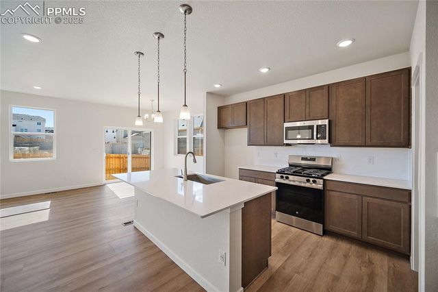 11991 Lake Trout Drive, Colorado Springs, CO 80925