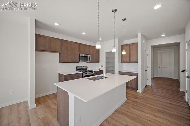 11991 Lake Trout Drive, Colorado Springs, CO 80925