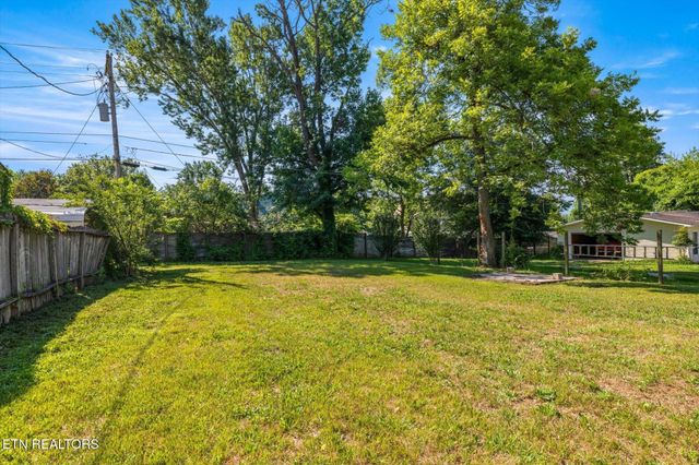 911 Indiana Ave, Etowah, TN 37331
