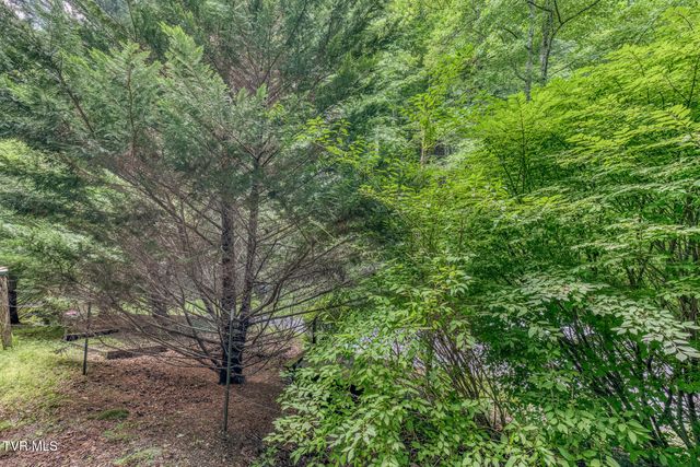 139 Charlie Harrell Lane, Hampton, TN 37658