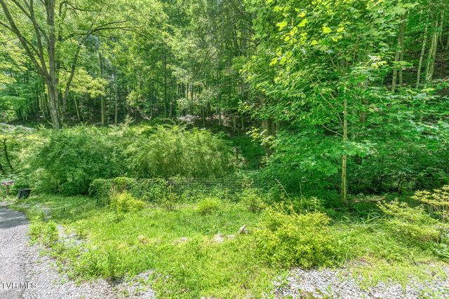 139 Charlie Harrell Lane, Hampton, TN 37658
