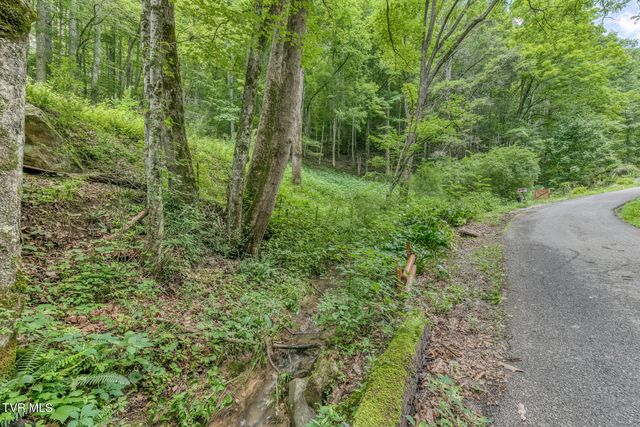 139 Charlie Harrell Lane, Hampton, TN 37658
