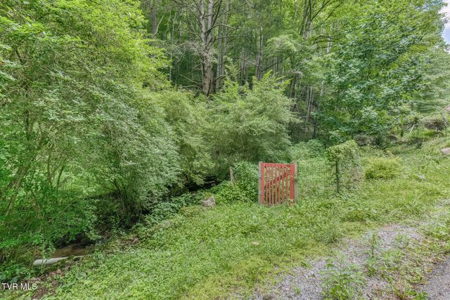 139 Charlie Harrell Lane, Hampton, TN 37658