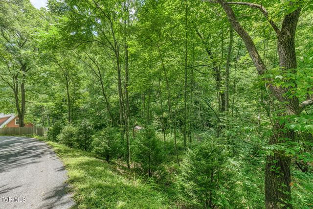 139 Charlie Harrell Lane, Hampton, TN 37658
