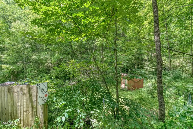 139 Charlie Harrell Lane, Hampton, TN 37658