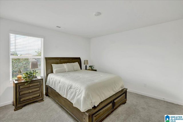 23117 DOWNING PARK CIRCLE, Mccalla, AL 35111
