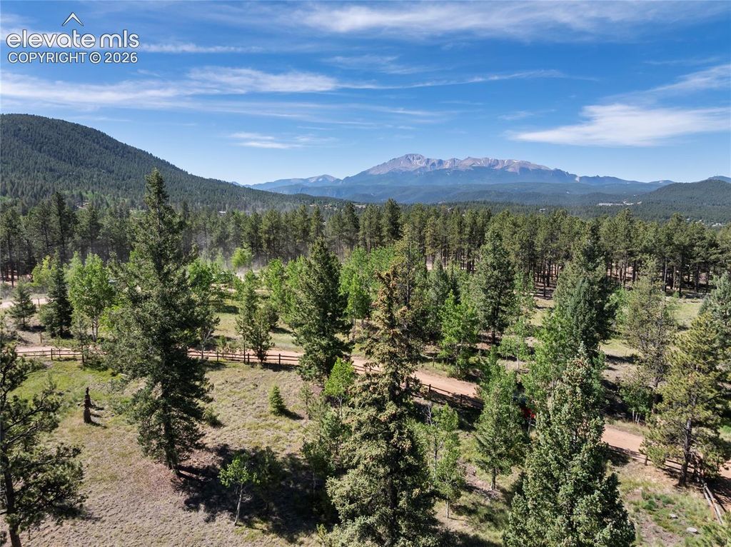 303 Ute Trail, Woodland Park, CO 80863 — photo 3