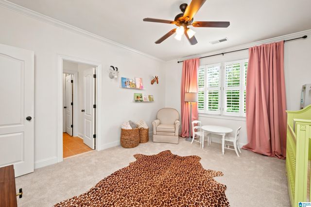 3904 BUTLER SPRINGS WAY, Hoover, AL 35226