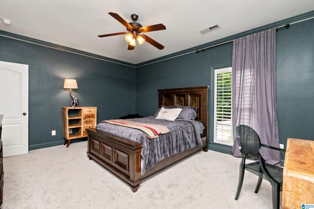 3904 BUTLER SPRINGS WAY, Hoover, AL 35226