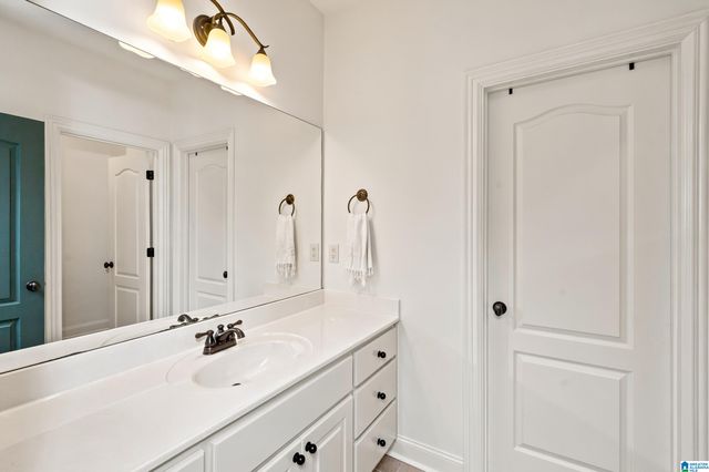 3904 BUTLER SPRINGS WAY, Hoover, AL 35226