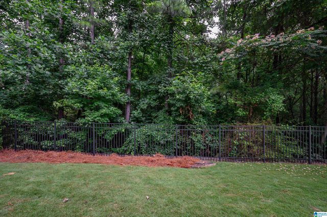 3904 BUTLER SPRINGS WAY, Hoover, AL 35226