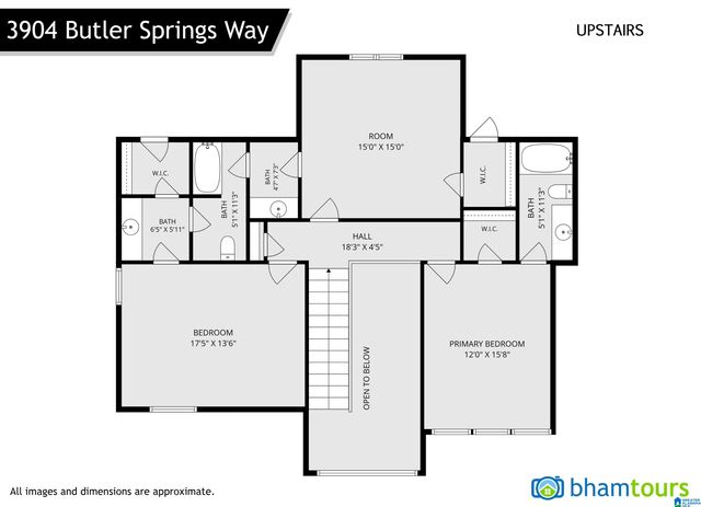 3904 BUTLER SPRINGS WAY, Hoover, AL 35226